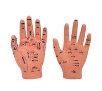 Modèle pour pratique de massage pédiatrique avec points AkuPoint Modèle anatomique pour la formation des soignants et l'anatomie des soins à domicile avec points de pression