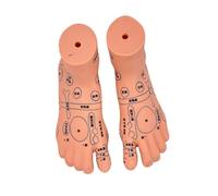 Modèle pratique de massage pédiatrique avec points d'acupuncture anatomie du bébé pour l'éducation soignante et les soins infirmiers à domicile anatomie des méridiens bébé