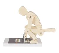 Modèle Pro Correct Lifting, Modèle De Force De La Colonne Vertébrale Lors Du Levage De Poids, Avec Socle, Affichage Interactif Sur La Sécurité En Matière De Fitness, Pour L'anatomie Biomécanique