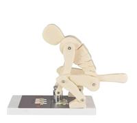 Modèle Pro Correct Lifting, modèle de force vertébrale pour le levage de poids humains avec base, entraîneur lombaire interactif avec base, pour l'entraînement postural et l'étude de la biomécanique