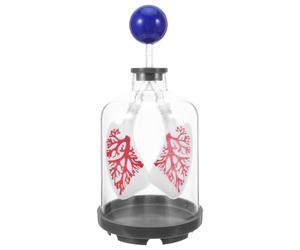 Modèle Pulmonaire de Respiration à Pression D’air en Plastique | Démonstration de L’expansion des Poumons, Structure Transparente, Assemblage Facile, pour Cours Stem et Maison