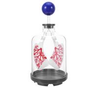 Modèle Pulmonaire Respiratoire Réaliste Mouvement du Diaphragme | Plastique Robuste, Portable et Facile à Assembler, Démonstration pour e Sciences et Hôpitaux