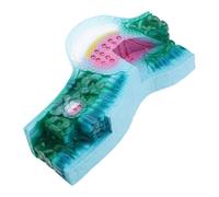 Modèle réaliste d'anatomie végétale en PVC - Outil d'enseignement détaillé de la biologie pour salle de t laboratoire scientifique - Fournitures de laboratoire pour enseignants de biologie