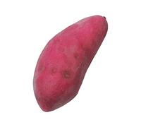 Modèle réaliste de patate douce, accessoires de simulation, vitrine d ' échantillon, faux légumes en mousse pour la décoration de la maison, éducation précoce, vitrine de de patate douce, faux en