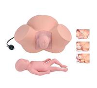 Modèle Simulé Du Bas Du Corps D'Une Femme Enceinte - Simulateur De Formation À L'Accouchement - Démonstration D'Accouchement Grandeur Nature - Obstétrique - Gynécologie - Positions Fœtales Normales E