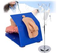 Modèle urétral de soins de santé pour la pratique du cathétérisme et du lavement, mannequin homme/femme avec base stable pour l'enseignement des compétences médicales