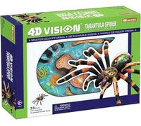 Modèles anatomiques d'araignée en 4D, composés de 33 organes et parties du corps amovibles. Modèle pédagogique médical, modèle anatomique animal, for l'enseignement vétérinaire.