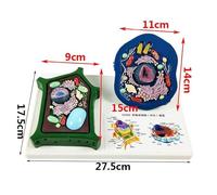 Modèles cellulaires Animaux et végétaux à visée pédagogique et Anatomique médicale. Modèles expérimentaux biologiques for l'étude et l'enseignement médical.