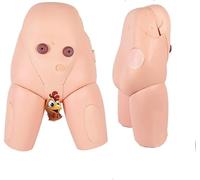 Modèles d'anatomie humaine Modèles de mission de pratique médicale Kit de simulation d'insertion de cathéter urétral masculin et féminin Modèles d'enseignement for étudiants en médecine(Male)