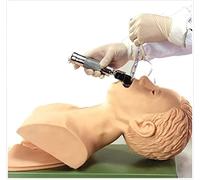 Modèles d'anatomie Mode simulateur d'intubation trachéale Mannequin d'intubation Démonstration Formation Modèle Formation la Gestion des Voies respiratoires