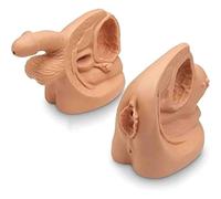 Modèles de cathéters masculins et féminins, anatomie, cathétérisme, organes génitaux internes et externes, simulateur de manikin urinaire destiné à l'apprentissage et à la formation