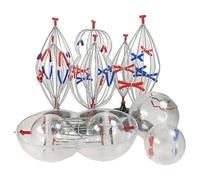 Modèles de cellules biologiques, mitose et méiose animales et végétales. Modèle de mitose et de méiose de cellules animales et végétales (9 parties). Ensemble de modèles de cellules et de mitose