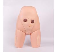 Modèles d'insertion de cathéter Modèles de mission de pratique médicale Kit de simulation d'insertion de cathéter urétral masculin et féminin Modèles d'enseignement for étudiants en médecine(Female)