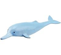 Modèles médicaux, poupées éducatives, modèle Anatomique Animal, Dauphins Blancs, modèle Anatomique médical, modèle d'organisme Marin pour étude et Affichage