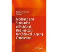 Modeling And Simulation Of Fluidized Bed Reactors For Chemical Looping Combustion