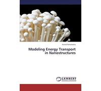 Modeling Energy Transport In Nanostructures