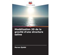 Modélisation 3D de la gravité d'une structure saline