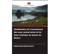 Modélisation de l'écoulement des eaux souterraines et du bilan hydrique du bassin de Wukro