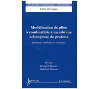 Modélisation De Piles À Combustible À Membrane Échangeuse De Protons - Physique, Méthodes Et Exemples