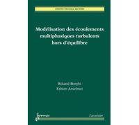 Modélisation des écoulements multiphasiques turbulents hors d'équilibre - Fabien Anselmet - Hermes Science Publications - broché - Scolaire / Universitaire