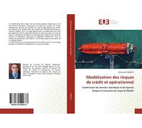 Modélisation des risques de crédit et opérationnel: Combinaison des données statistiques et de l'opinion d'expert et évaluation du risque de Modèle