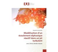 Modélisation d'un écoulement diphasique réactif dans un jet turbulent - Boughattas Nejmiddin - Universitaires Europeennes - broché - Etude