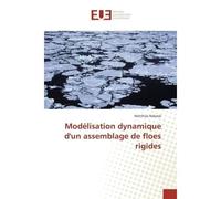 Modélisation dynamique d'un assemblage de floes rigides - Matthias Rabatel - Universitaires Europeennes - broché - Livre