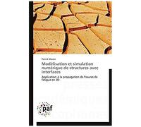Modélisation Et Simulation Numérique De Structures Avec Interfaces