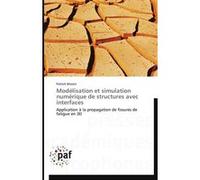 Modélisation et simulation numérique de structures avec interfaces MASSIN-P (Auteur)
