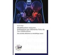 Modélisation mécano-biologique par éléments finis de l'os trabéculaire RIEGER-R (Auteur)