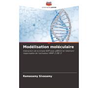 Modélisation moléculaire: Interaction de la kinase NDP avec pBR322 et l'élément responsable de l'activateur MMP-2 (RE-1)