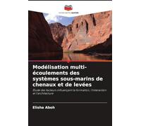 Modélisation multi-écoulements des systèmes sous-marins de chenaux et de levées