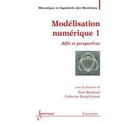 Modelisation numerique 1 defis et perspectives traite mim se - Breitkopf - Hermes Science Publications - broché - Livre
