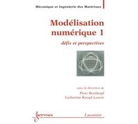 Modelisation numerique 1 defis et perspectives traite mim se - Breitkopf - Hermes Science Publications - broché - Livre