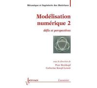 Modelisation numerique 2 defis et perspectives traite mim se - Breitkopf - Hermes Science Publications - broché - Livre