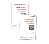 Modelisation numerique defis et perspectives traite mim seri - Breitkopf - Hermes Science Publications - broché - Livre