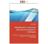 Modélisation Numérique Des Processus Physico-Chimiques