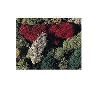 Modélisme : Végétation : Lichen 5 couleurs Faller
