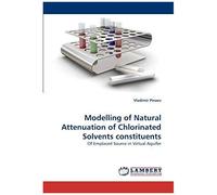 Modelling Of Natural Attenuation Of Chlorinated Solvents Constituents
