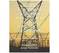 Modelo Sectorial De Gestión De I+D+I Para El Sector Eléctrico Colombiano: Modelo De Gestión De I+D+I
