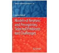 Models Of Neurons And Perceptrons: Selected Problems And Challenges