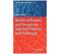 Models Of Neurons And Perceptrons: Selected Problems And Challenges