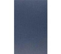 Models of Representation in Czech Literary History by Vladimir Papoulsek Petr A Bilek, Vladimir Papoulsek (Auteur)