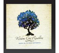 Modena City Ramblers - Dopo Il Lungo Inverno