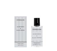 Modern Classics Brume d'intérieur Bouleau argenté et poivre noir 50 ml