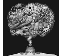 Modern Color There Goes The Dream (Vinyl)