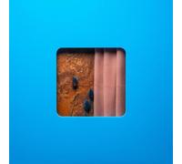 Modern Error - Victim Of A Modern Age [New Vinyl LP]