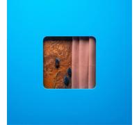 Modern Error – Victim Of A Modern Age – Vinyle LP – Membran