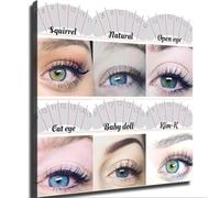 Modern Minimalist Beauty Salon Eyelash Extension Style Poster Wall Art Application Guide Home Decor