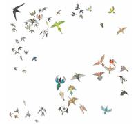 Modern Nature - No Fixed Point In Space [Vinyl Lp]